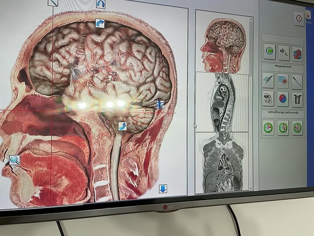 Kvantna medicina- specijalista interne medicine Dr Maja Stojanović